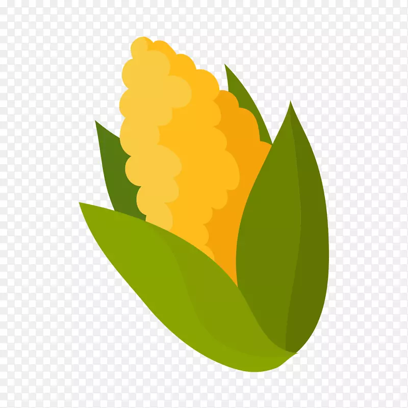 黄营养玉米-黄绿色玉米