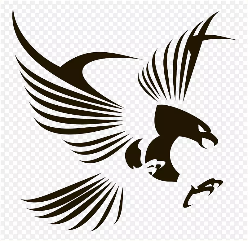 鸟类飞行鹰-鹰图形设计