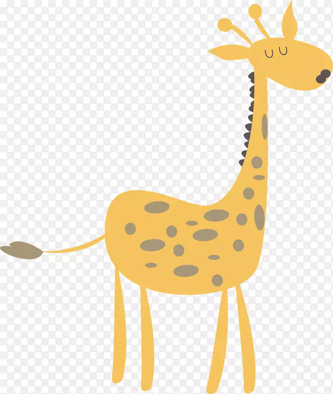 北长颈鹿-可爱长颈鹿