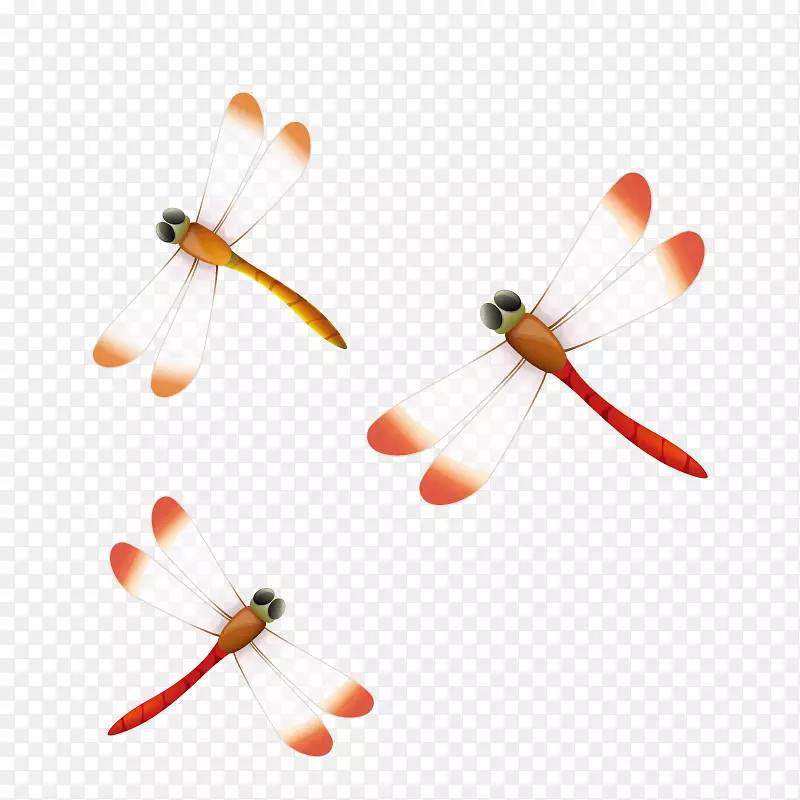 蜻蜓剪贴画-红蜻蜓