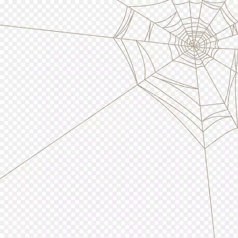 地板线结构对称图案-蜘蛛网图片蜘蛛网卡通
