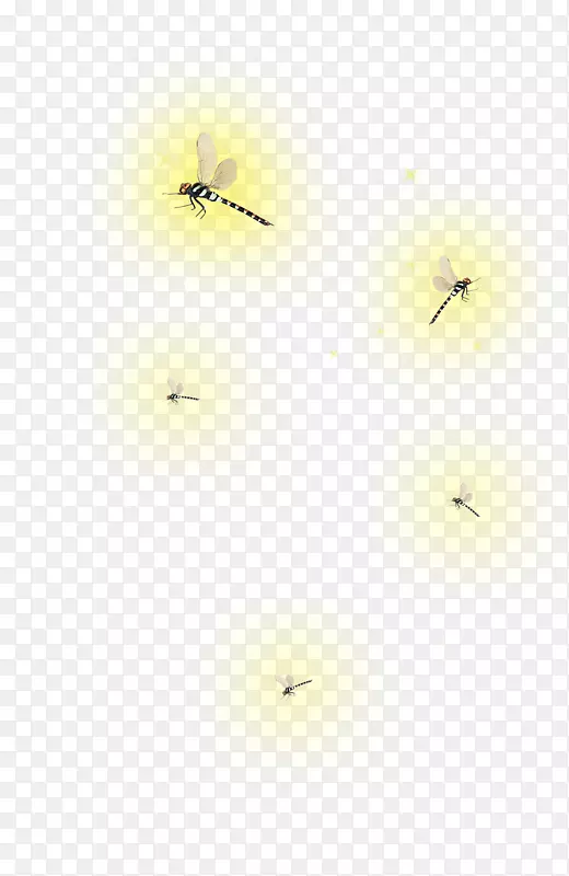 蜻蜓剪贴画-发光蜻蜓