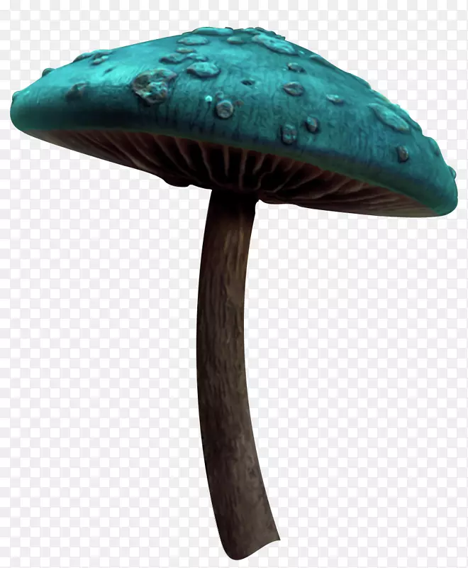 蘑菇童话