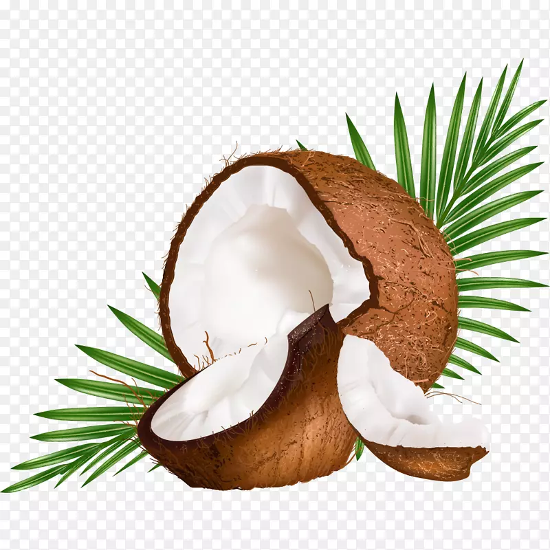 椰奶椰子水欧式椰子
