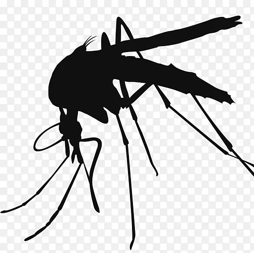 灭蚊短片艺术-蚊子
