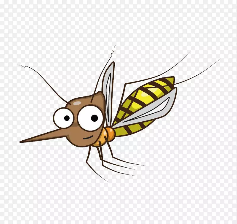 蚊虫生物生命周期幼虫-蚊子