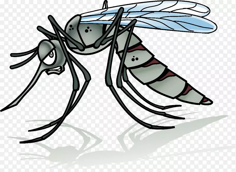 蚊子卡通插图-蚊子