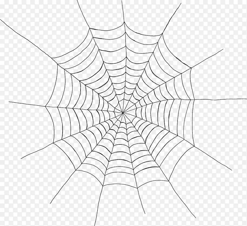 蜘蛛网剪贴画圆蜘蛛网