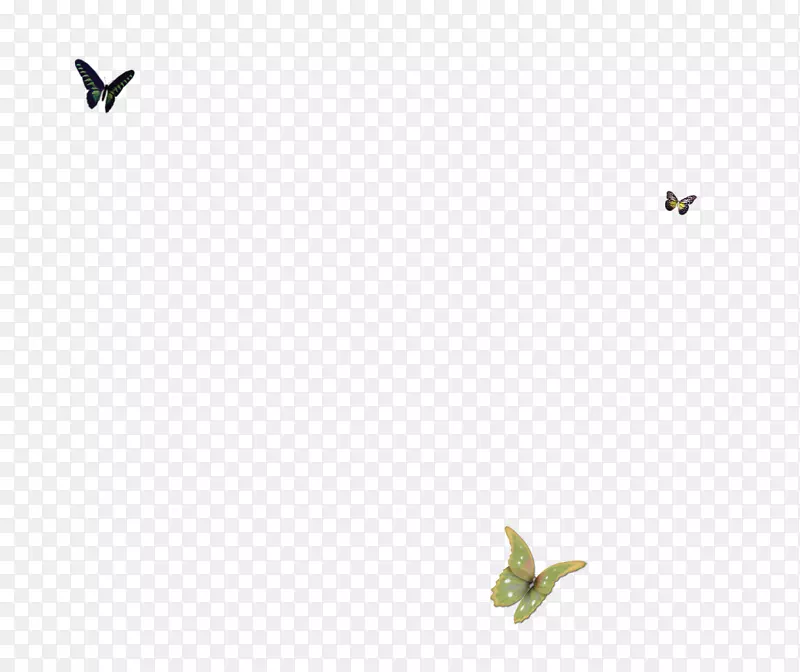 鸟绿角图案-蝴蝶花瓣浮泡，简约典雅