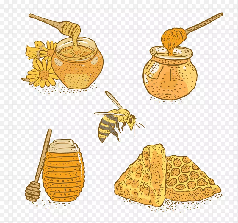 蜜蜂蜂蜜糖下载-彩色黄蜂材料