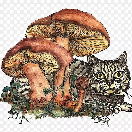 猫猫科版画插图-复古蘑菇