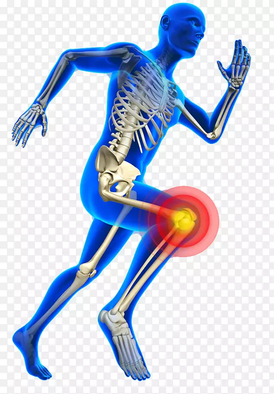 膝关节疼痛运动损伤理疗运动医学人膝关节骨