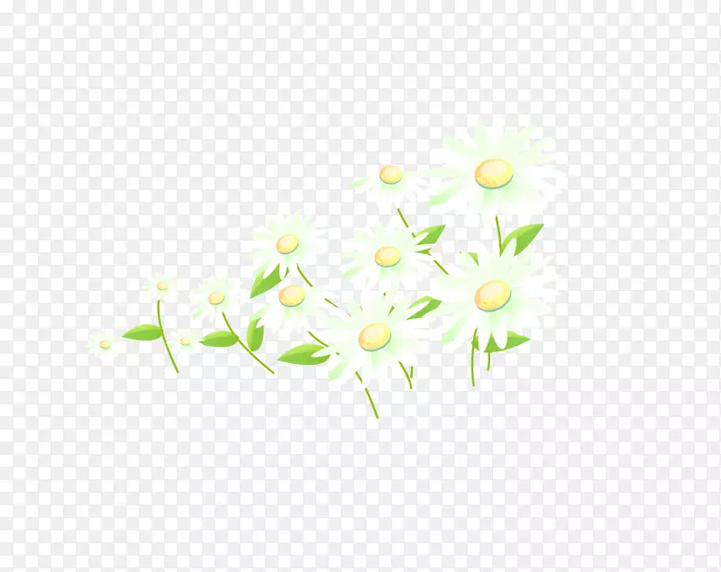 花瓣绿色花卉图案-菊花材料