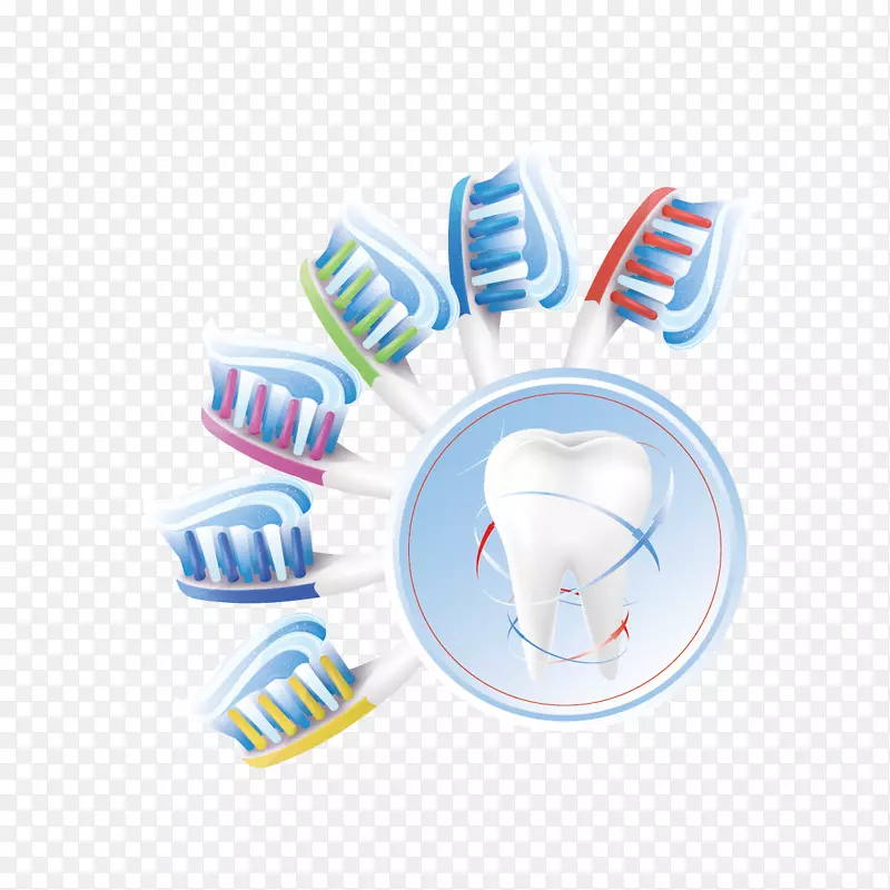 人类牙齿欧式牙齿清洁.牙刷和牙齿
