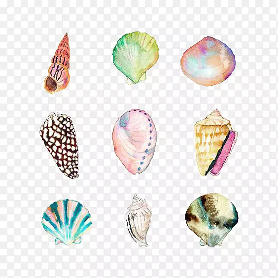 水彩画贝壳画沙滩插图-贝壳