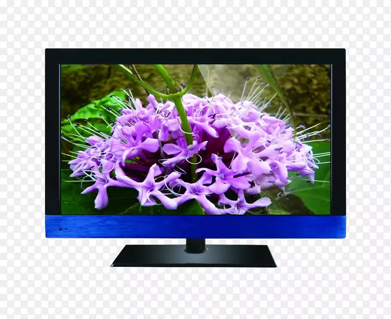 轻型液晶显示电视4核cpu液晶显示屏液晶电视