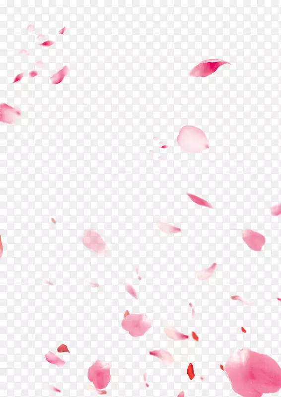 下载-桃子花瓣装饰背景材料