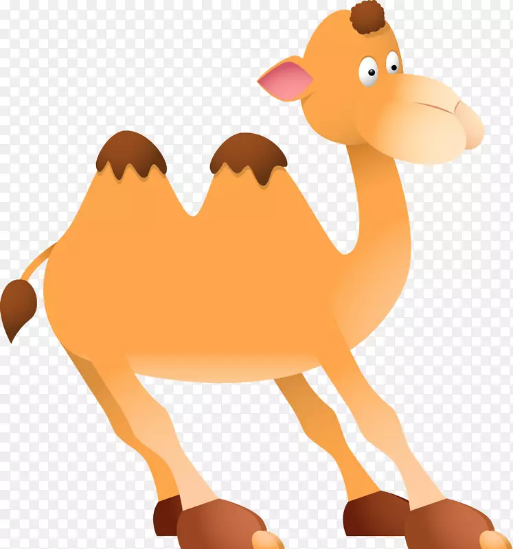 骆驼免费内容剪辑艺术-骆驼卡通
