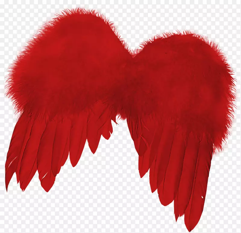 羽毛红翅膀