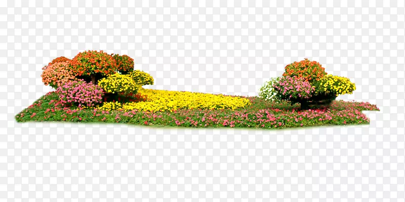 花卉设计长方形花坛