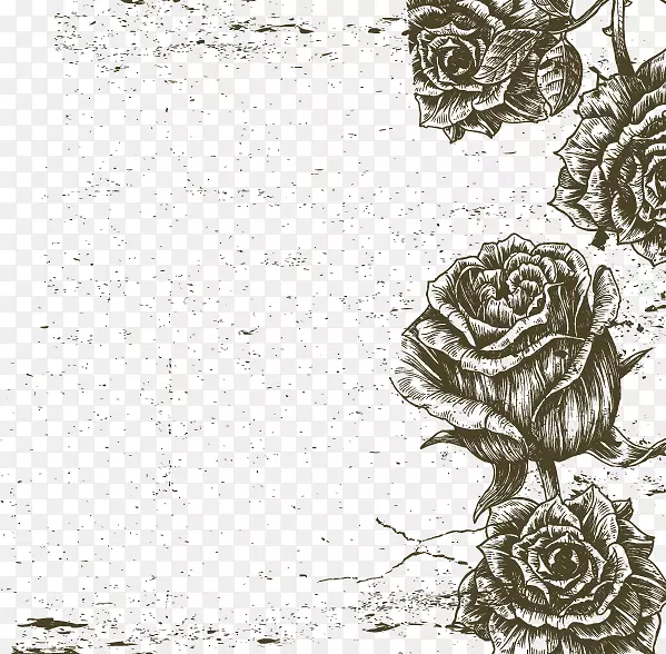 黑白沙滩玫瑰视觉艺术-黑白玫瑰边框图像