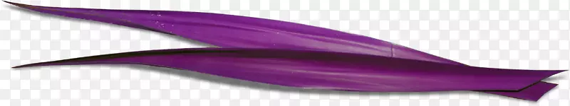 海豚紫草