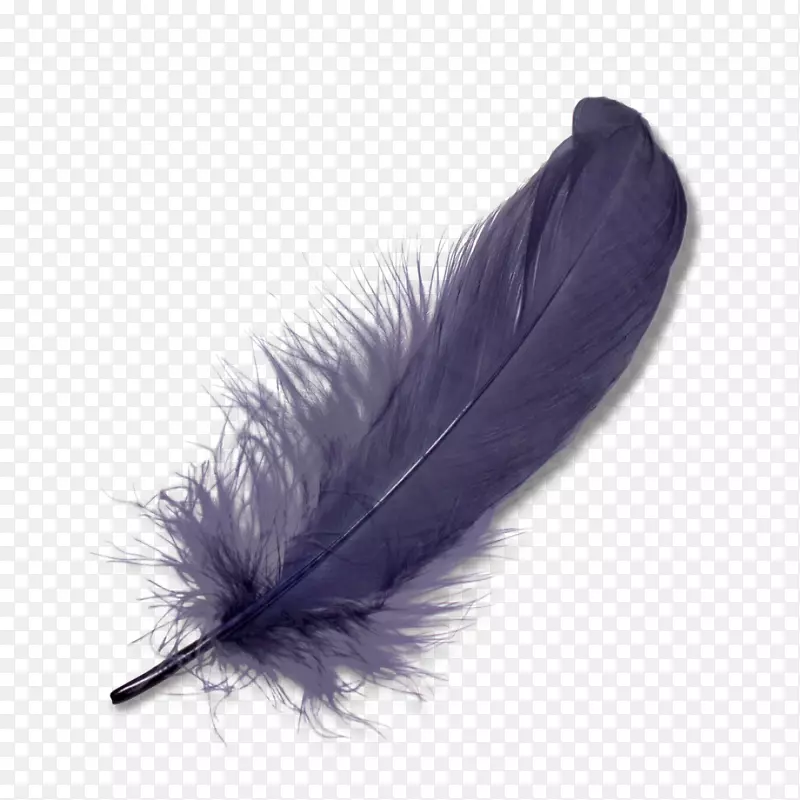 羽毛剪贴画.紫色羽毛下落