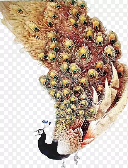 孔雀画装饰艺术羽毛垫孔雀