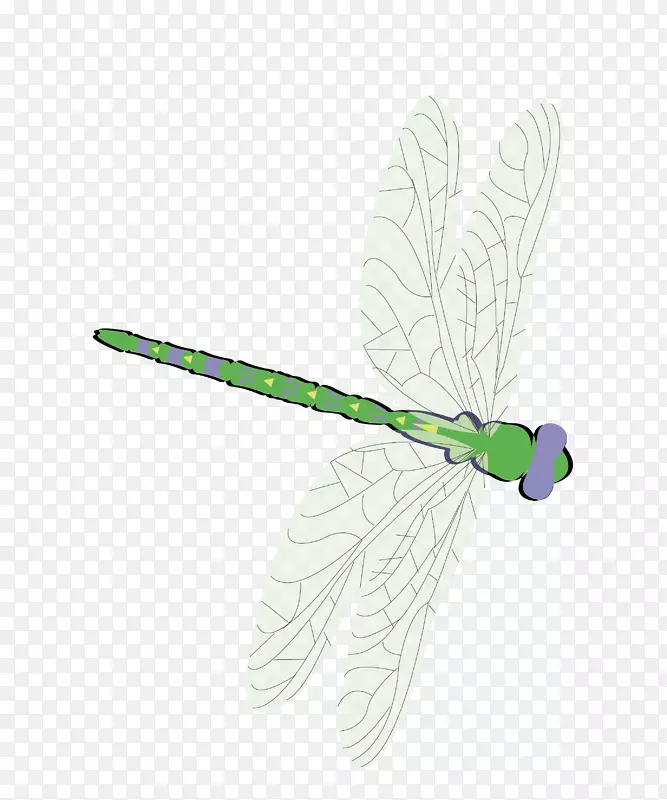 蝴蝶绿色羽毛蛾型-蜻蜓载体