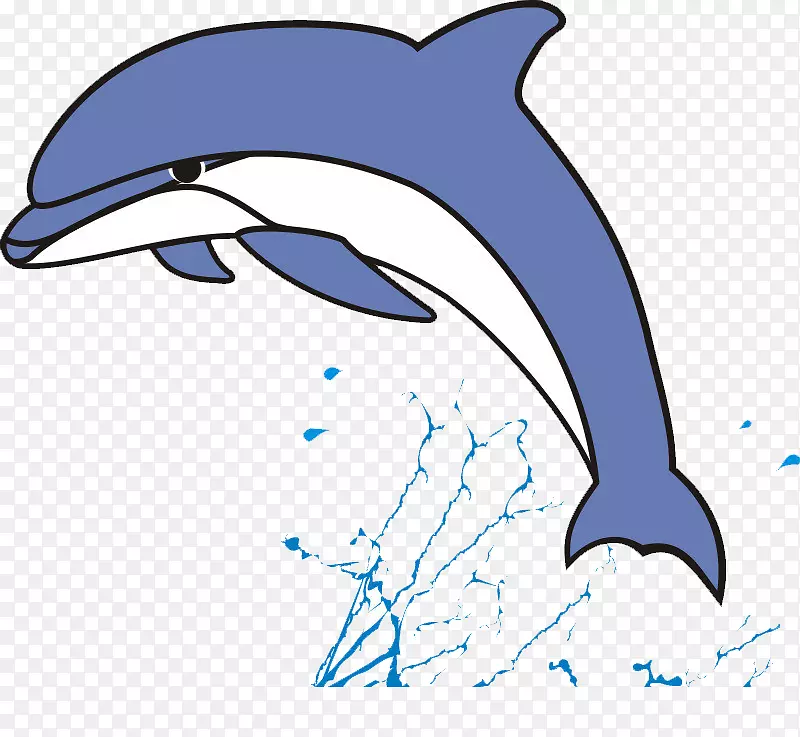 短喙普通海豚普通宽吻海豚图库西白海豚