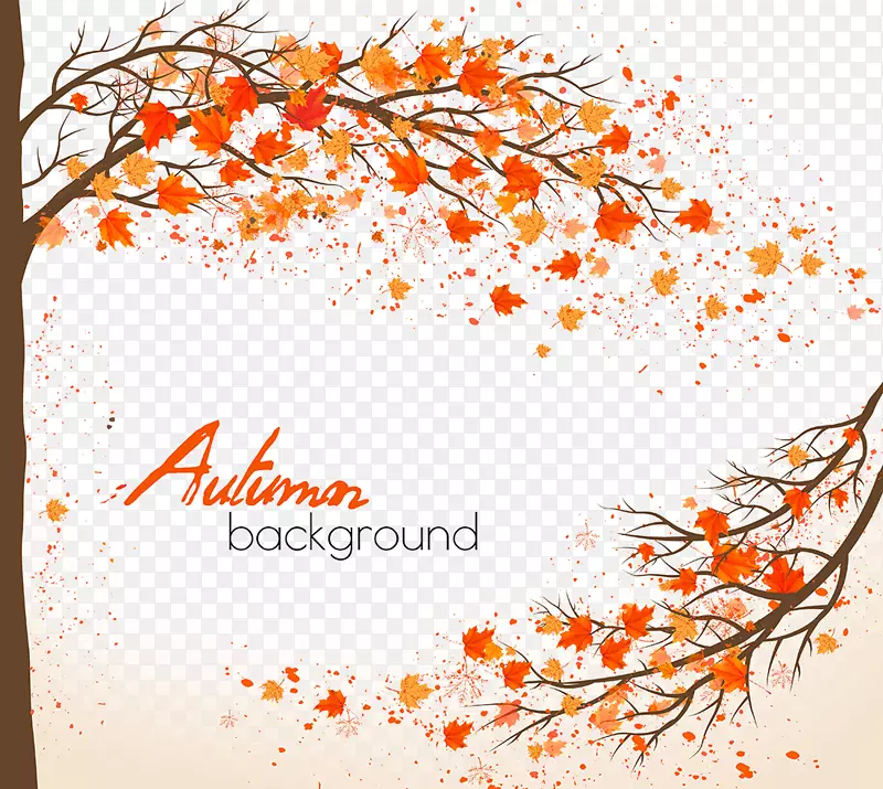 秋天枫叶-美丽的秋天背景材料
