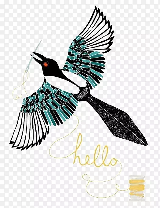 欧亚喜鹊美洲鸟艺术：用石墨和彩色铅笔插图飞行的鸟