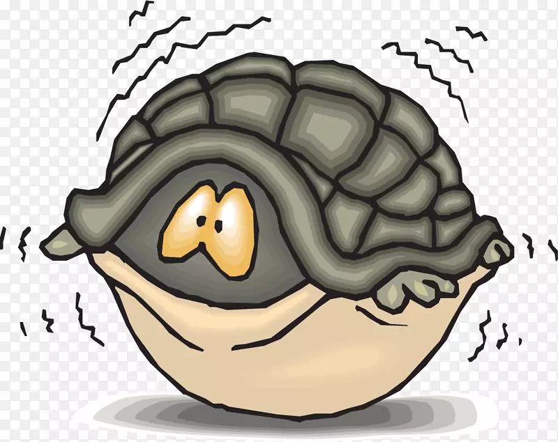 海龟壳变异型忍者龟夹艺术彩绘巢