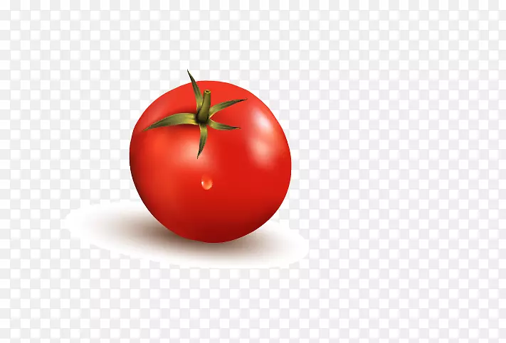番茄减肥食品苹果墙纸-番茄