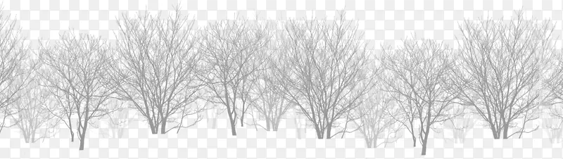 白黑雪分叉枯树林