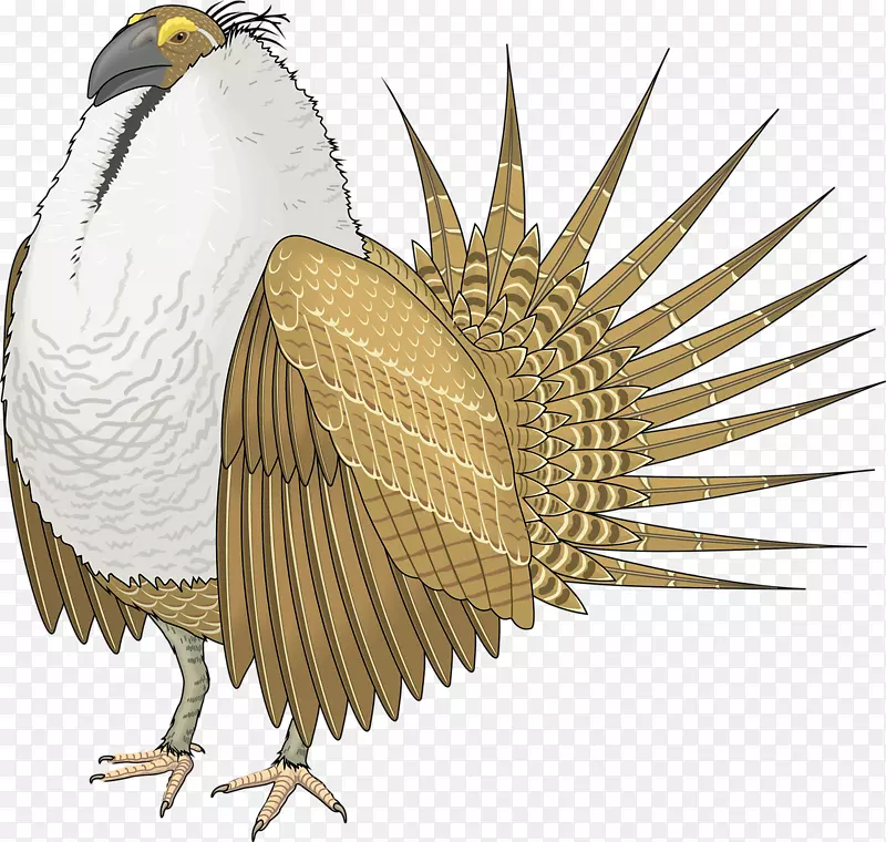 鸟类皇室-免松鸡剪贴画-奇怪的麻雀