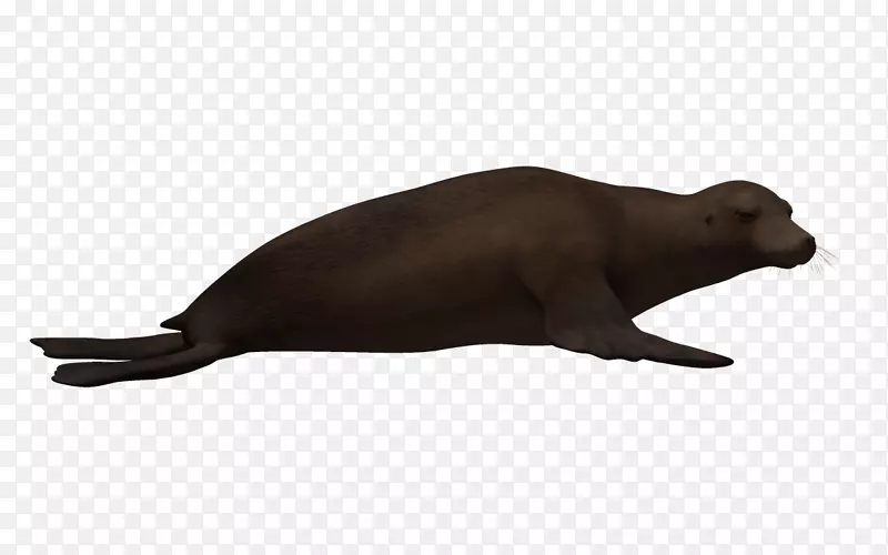 海狮鼻子动物-三维生物