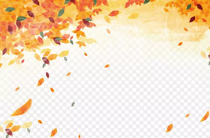 秋叶颜色-秋叶材料