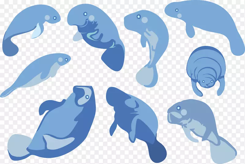 海豚海牛夹艺术.蓝色海豹