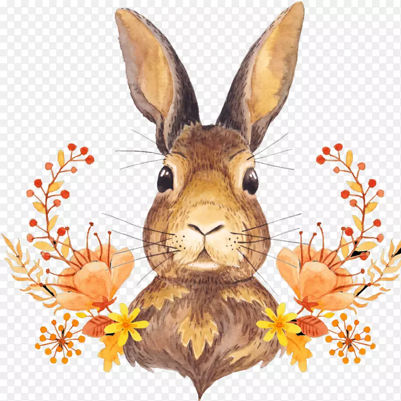 秋叶色收获感恩节-可爱的兔子