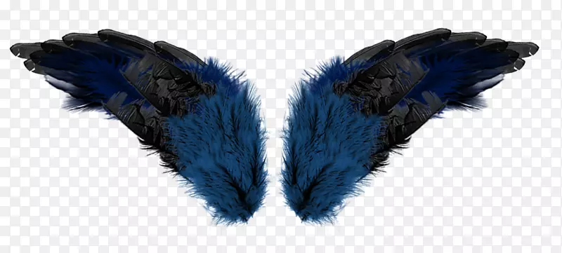 羽毛翼-蓝色翅膀