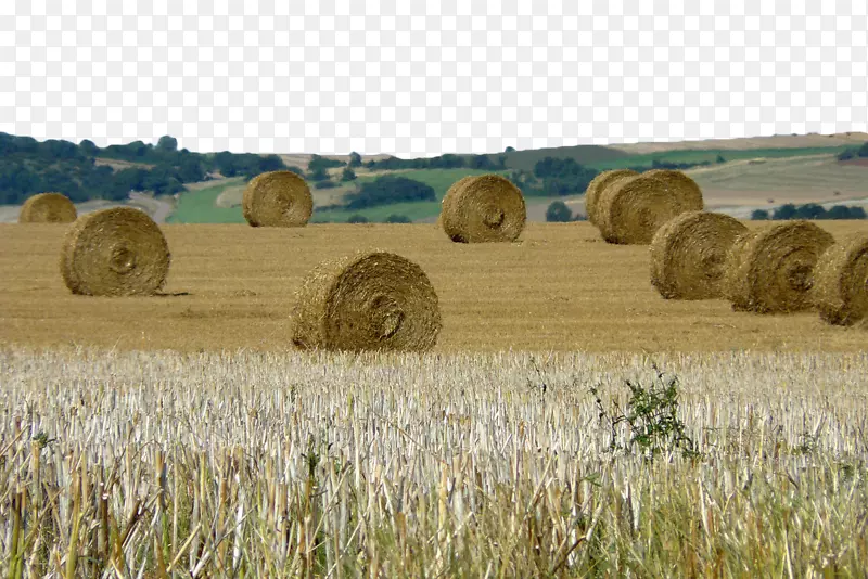 干草收获农场稻草捆-小麦干草堆