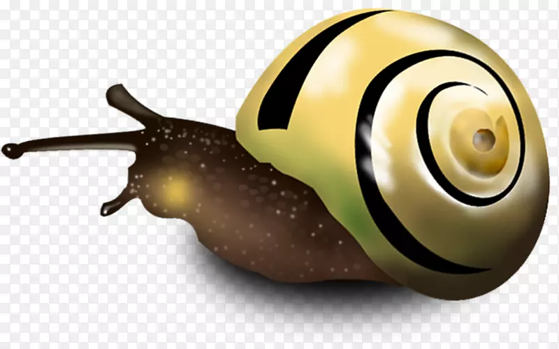 蜗牛正交圈-手拉蜗牛拉创意HD免费