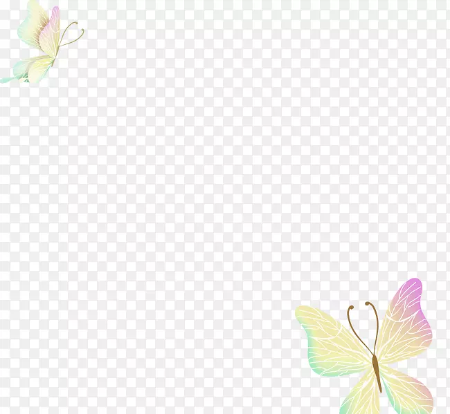 花瓣图案-蝴蝶