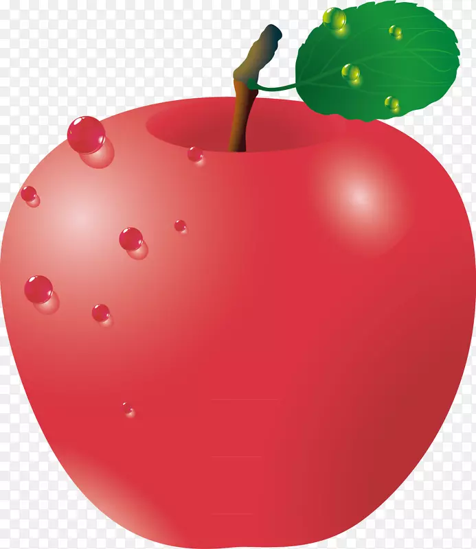 苹果红土坯插画-红苹果绿叶载体