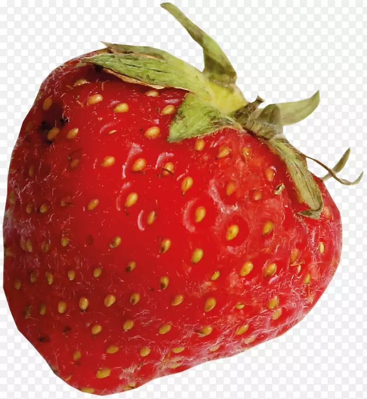 草莓果奥格里斯-3D食用水果手绘卡通