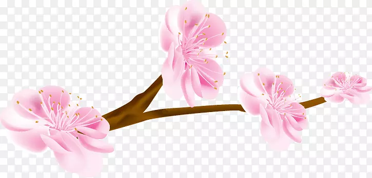 樱花花瓣彩绘樱桃