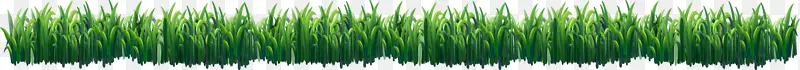 绿草染发剂-鲜春草