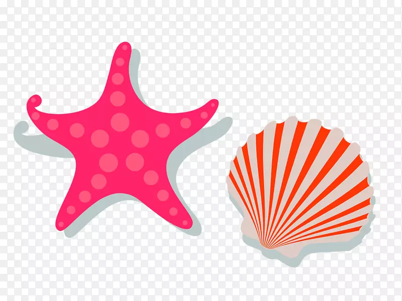 模板礼品卡学术证书假期暑期学校-红色新鲜贝类星型装饰图案