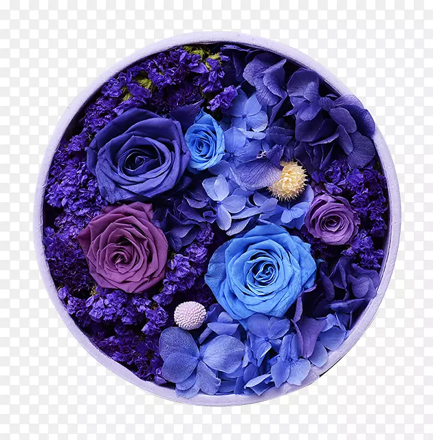 蓝色玫瑰花卉设计-蓝色花盒永久扣夹免费